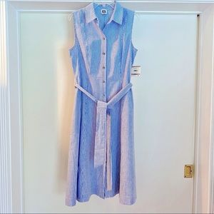 Anne Klein Seersucker Dress